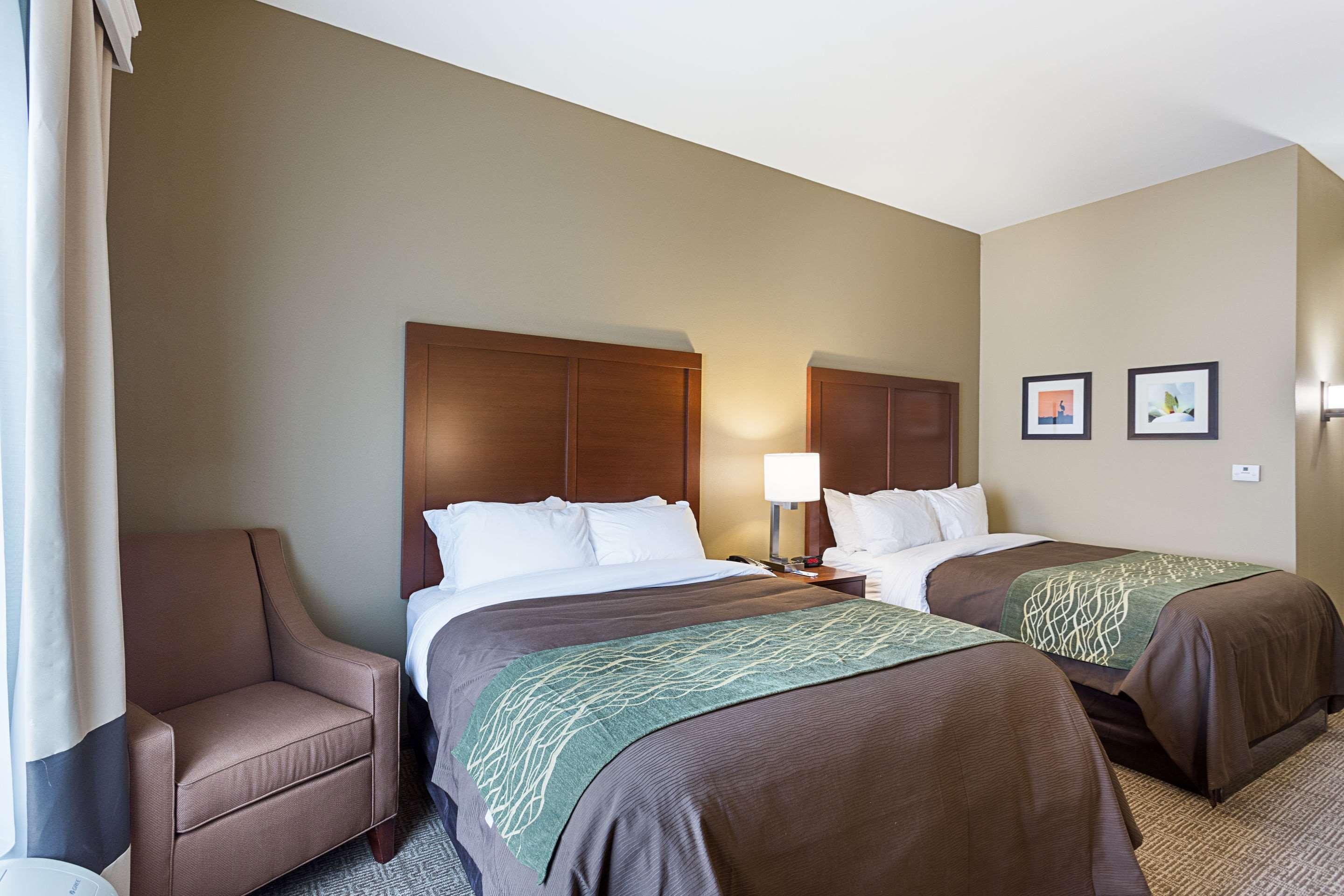 Comfort Inn & Suites Zachary Екстериор снимка